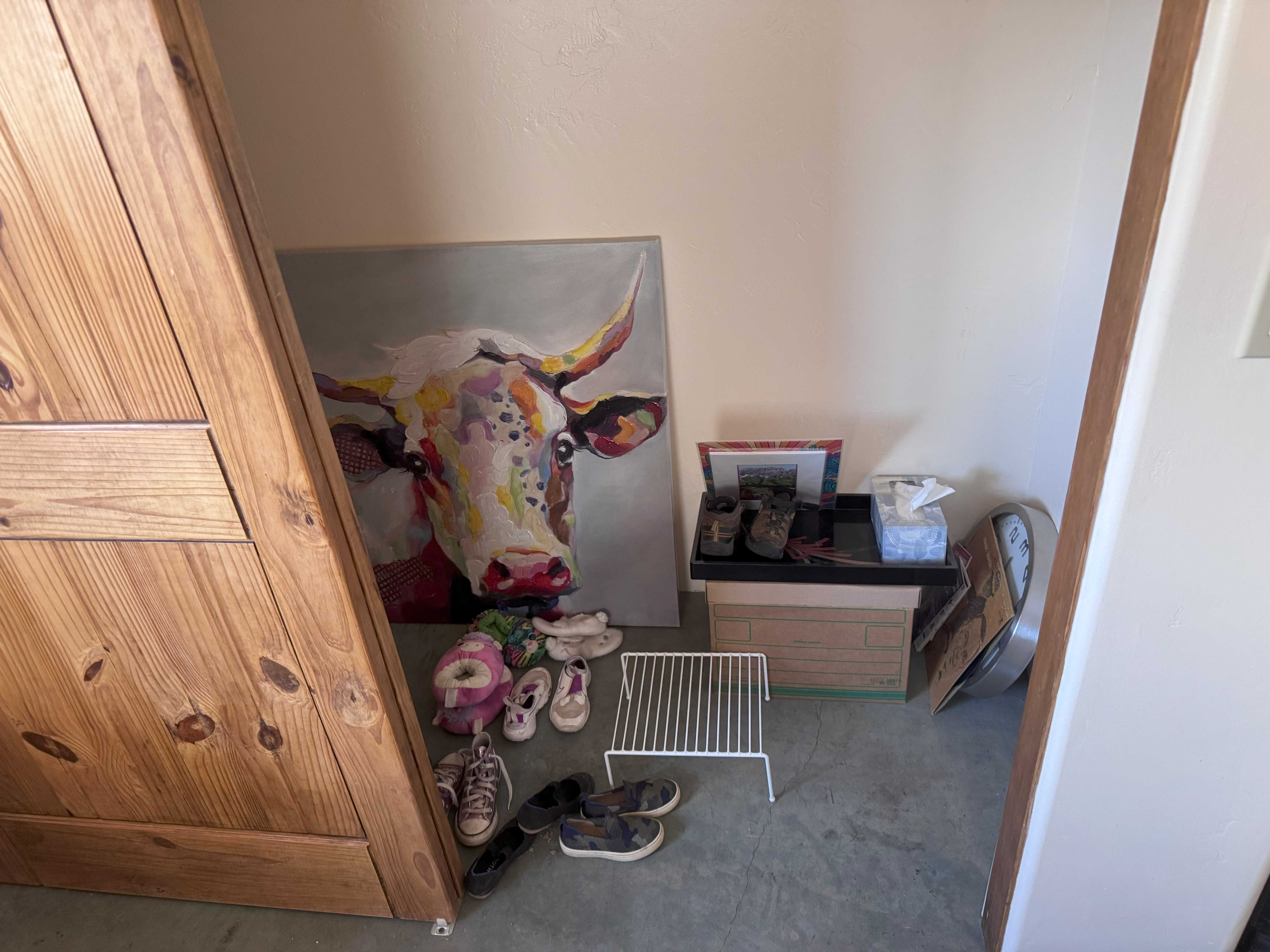 Messy reach-in closet